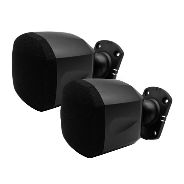 Ceiling and wall speakers